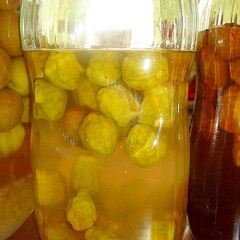 はちみつ梅シロップ レシピ 作り方 By クローバー333 楽天レシピ はちみつ梅シロップ レシピ 作り方 By クローバー333 楽天レシピ